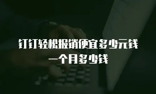 钉钉轻松报销便宜多少元钱一个月多少钱