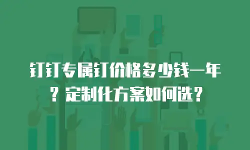 钉钉专属钉价格多少钱一年？定制化方案如何选？