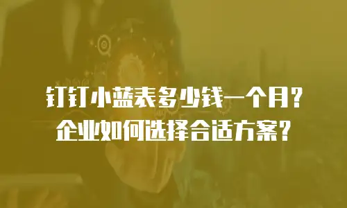 钉钉小蓝表多少钱一个月？企业如何选择合适方案？