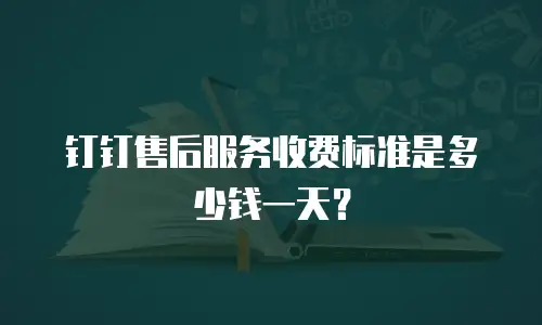 钉钉售后服务收费标准是多少钱一天？