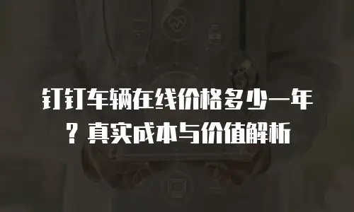钉钉车辆在线价格多少一年？真实成本与价值解析