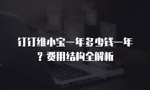 钉钉维小宝一年多少钱一年？费用结构全解析