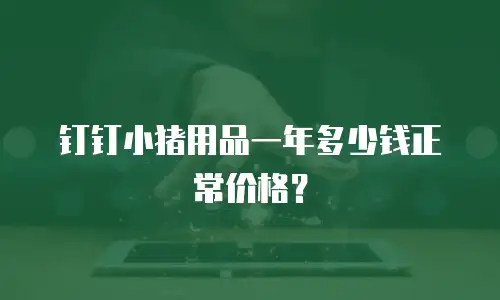 钉钉小猪用品一年多少钱正常价格？