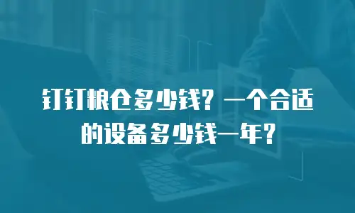 钉钉粮仓多少钱？一个合适的设备多少钱一年？