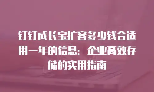 钉钉成长宝扩容多少钱合适用一年的信息：企业高效存储的实用指南