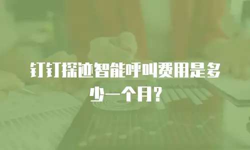 钉钉探迹智能呼叫费用是多少一个月？