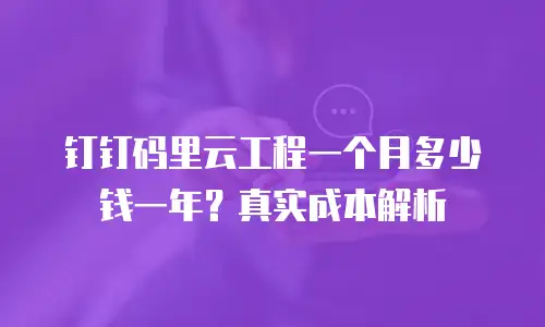 钉钉码里云工程一个月多少钱一年？真实成本解析