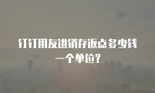 钉钉用友进销存返点多少钱一个单位？