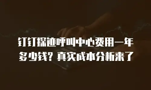 钉钉探迹呼叫中心费用一年多少钱？真实成本分析来了