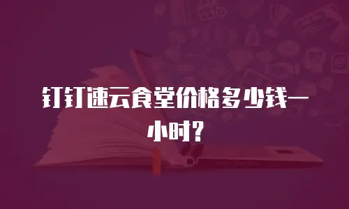 钉钉速云食堂价格多少钱一小时？