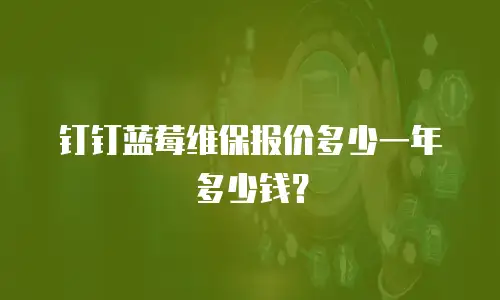 钉钉蓝莓维保报价多少一年多少钱？
