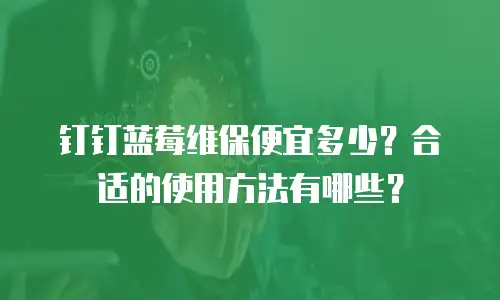 钉钉蓝莓维保便宜多少？合适的使用方法有哪些？