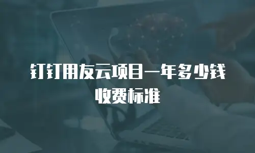 钉钉用友云项目一年多少钱收费标准