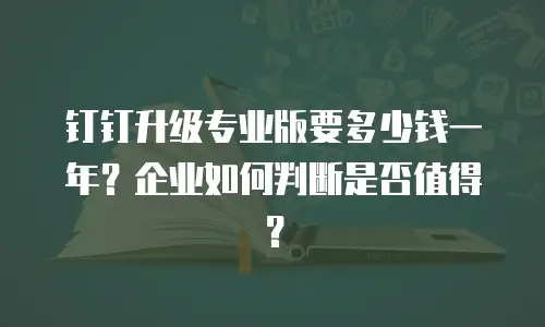 钉钉升级专业版要多少钱一年？企业如何判断是否值得？