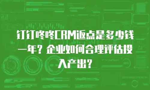 钉钉咚咚CRM返点是多少钱一年？企业如何合理评估投入产出？