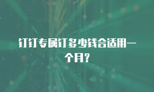 钉钉专属钉多少钱合适用一个月？