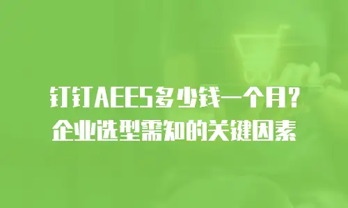 钉钉AEES多少钱一个月？企业选型需知的关键因素