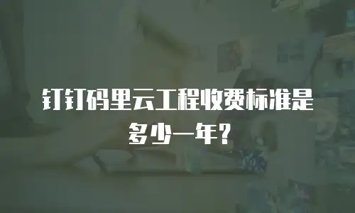 钉钉码里云工程收费标准是多少一年？