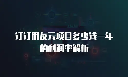 钉钉用友云项目多少钱一年的利润率解析