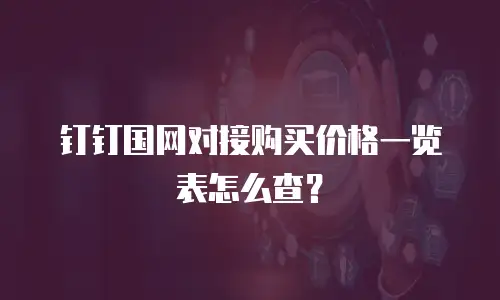 钉钉国网对接购买价格一览表怎么查？