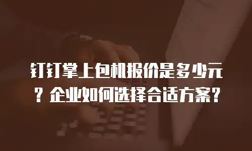 钉钉掌上包机报价是多少元？企业如何选择合适方案？