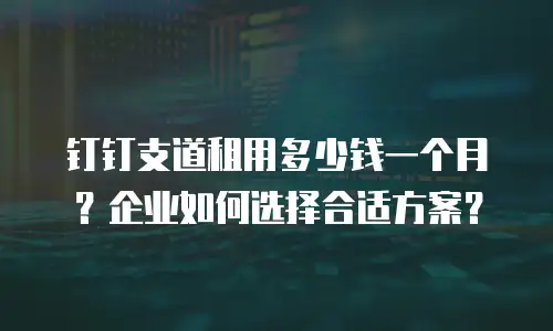 钉钉支道租用多少钱一个月？企业如何选择合适方案？