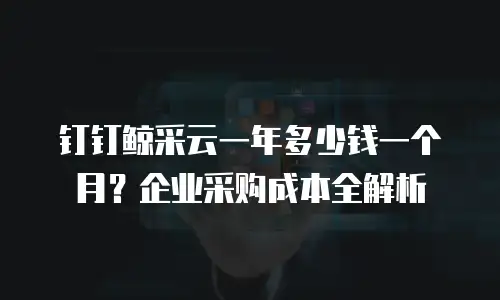 钉钉鲸采云一年多少钱一个月？企业采购成本全解析