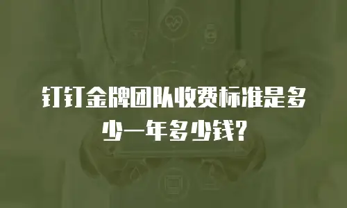 钉钉金牌团队收费标准是多少一年多少钱？