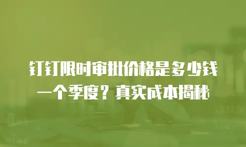 钉钉限时审批价格是多少钱一个季度？真实成本揭秘