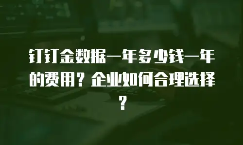 钉钉金数据一年多少钱一年的费用？企业如何合理选择？