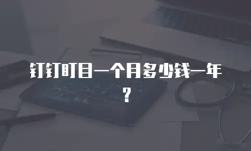 钉钉盯目一个月多少钱一年？