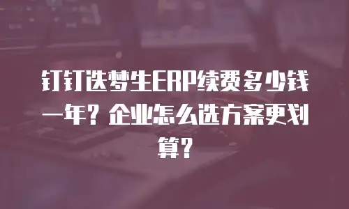 钉钉迭梦生ERP续费多少钱一年？企业怎么选方案更划算？