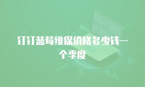 钉钉蓝莓维保价格多少钱一个季度