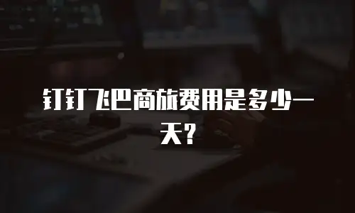 钉钉飞巴商旅费用是多少一天？