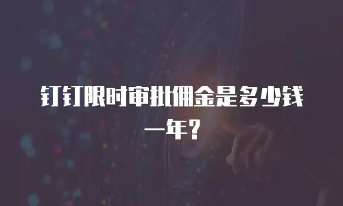 钉钉限时审批佣金是多少钱一年？