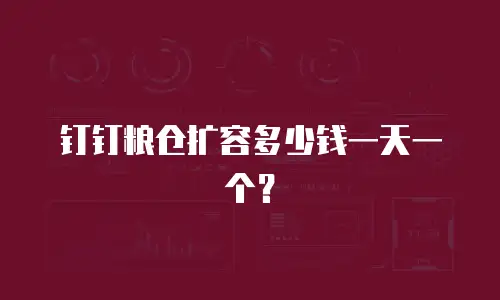钉钉粮仓扩容多少钱一天一个？