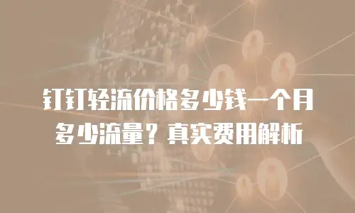 钉钉轻流价格多少钱一个月多少流量？真实费用解析
