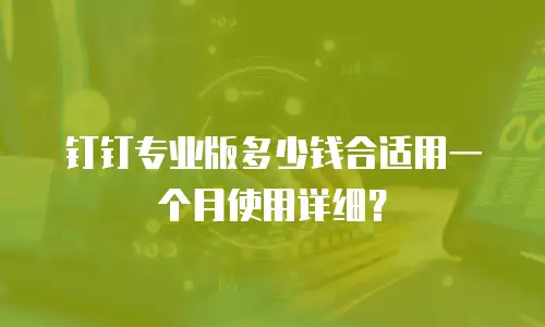 钉钉专业版多少钱合适用一个月使用详细？