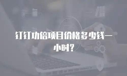 钉钉功倍项目价格多少钱一小时？