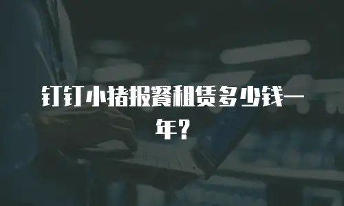钉钉小猪报餐租赁多少钱一年？