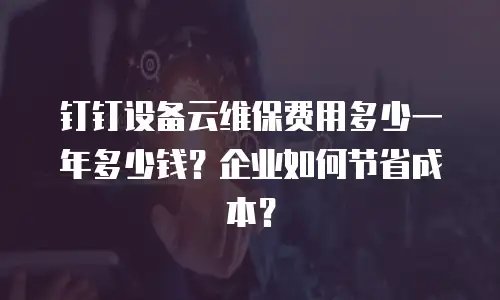 钉钉设备云维保费用多少一年多少钱？企业如何节省成本？