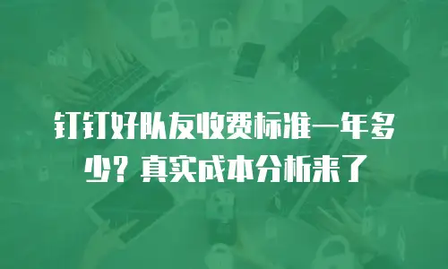 钉钉好队友收费标准一年多少？真实成本分析来了