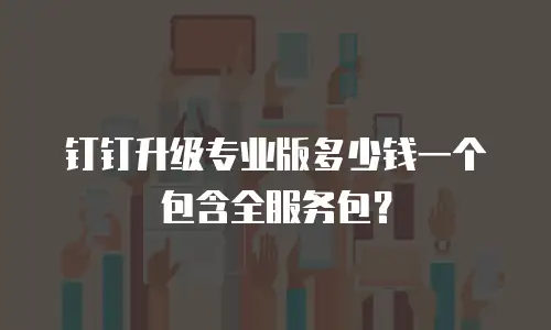 钉钉升级专业版多少钱一个包含全服务包？