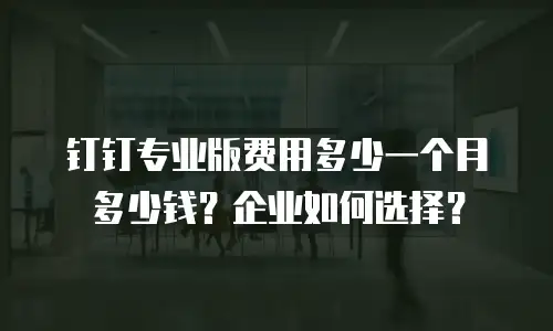 钉钉专业版费用多少一个月多少钱？企业如何选择？