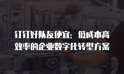 钉钉好队友便宜：低成本高效率的企业数字化转型方案