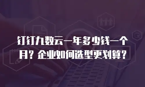 钉钉九数云一年多少钱一个月？企业如何选型更划算？