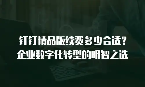 钉钉精品版续费多少合适？企业数字化转型的明智之选