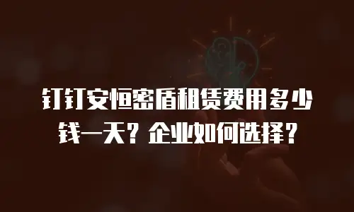 钉钉安恒密盾租赁费用多少钱一天？企业如何选择？