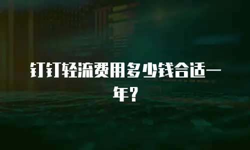 钉钉轻流费用多少钱合适一年？