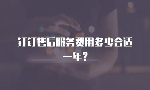 钉钉售后服务费用多少合适一年？